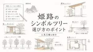 姫路でシンボルツリーの選び方を失敗しないための注意点と人気5種のアイキャッチ画像